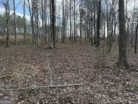 0 Armstrong Mill Rd, Franklin, GA 30217 photo 17