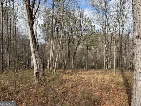0 Armstrong Mill Rd, Franklin, GA 30217 photo 32