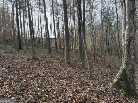 0 Armstrong Mill Rd, Franklin, GA 30217 photo 30