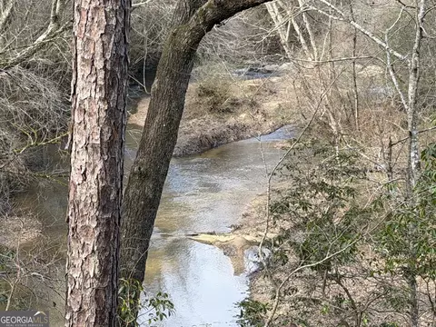 0 Armstrong Mill Rd, Franklin, GA 30217 photo 27