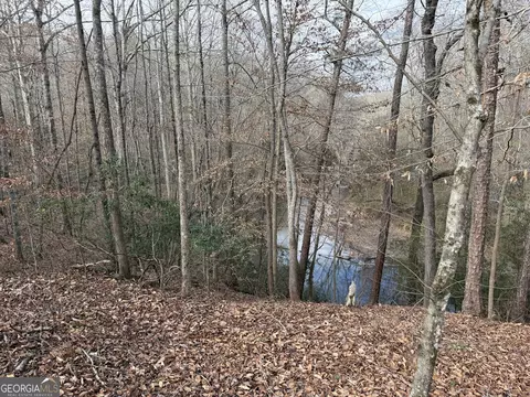 0 Armstrong Mill Rd, Franklin, GA 30217 photo 29