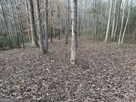 0 Armstrong Mill Rd, Franklin, GA 30217 photo 16
