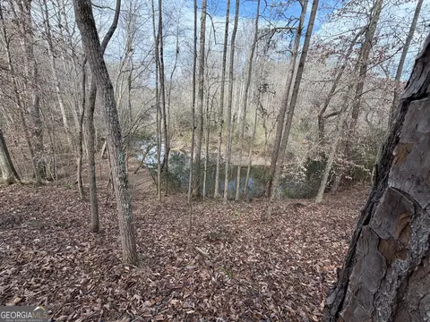0 Armstrong Mill Rd, Franklin, GA 30217 photo 25