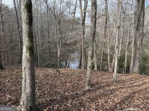 0 Armstrong Mill Rd, Franklin, GA 30217 photo 31