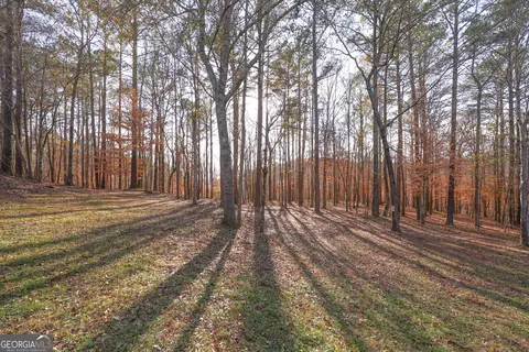 Exterior - 42 Deer Pointe Ct, Lagrange, GA 30240 photo 14 of 21
