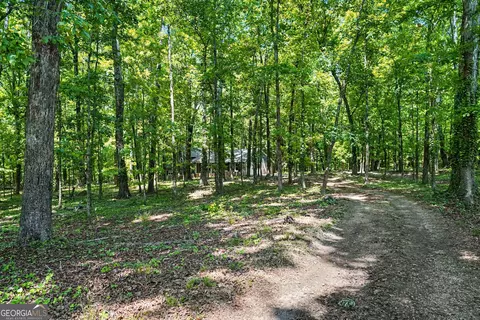 Exterior - 1050 Skyline Dr, Covington, GA 30014 photo 10 of 10