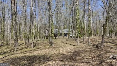 Other - 1050 Skyline Dr, Covington, GA 30014 photo 2 of 10
