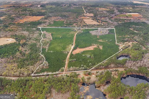 0 Jacob Wilkinson Cir, Claxton, GA 30417