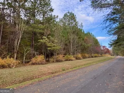 0 Beavers Rd, Summerville, GA 30747