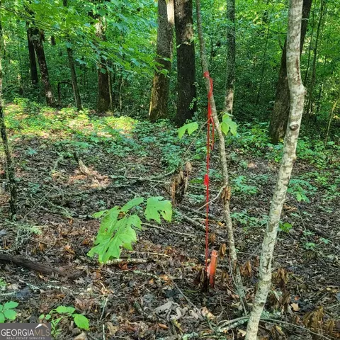 154 Dogwood Cir # -5, Hayesville, NC 28904