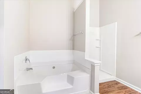 Bath - 1129 Watercourse Way, Hampton, GA 30228 photo 3 of 4