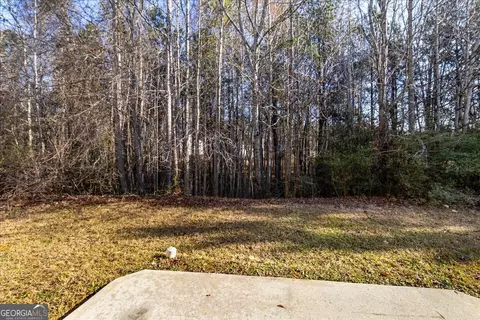 Exterior - 1129 Watercourse Way, Hampton, GA 30228 photo 5 of 5