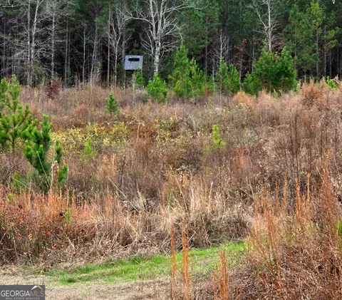 240 80 Hwy, Culloden, GA 31016 photo 31