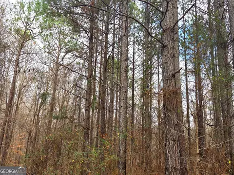 240 80 Hwy, Culloden, GA 31016 photo 13