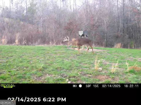 240 80 Hwy, Culloden, GA 31016 photo 4