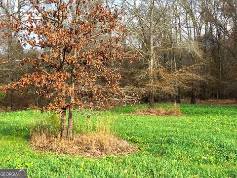 240 80 Hwy, Culloden, GA 31016 photo 2