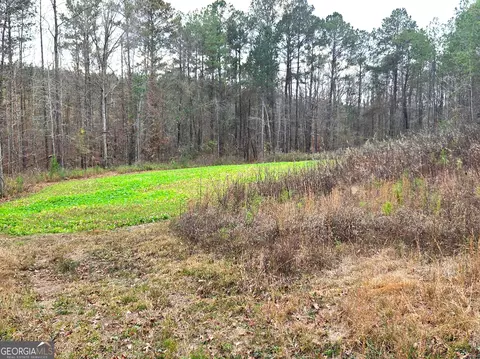 240 80 Hwy, Culloden, GA 31016 photo 28