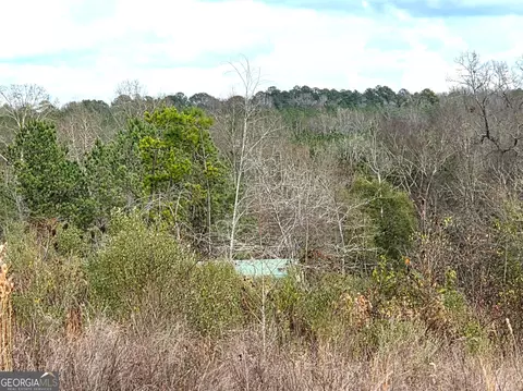 240 80 Hwy, Culloden, GA 31016 photo 10