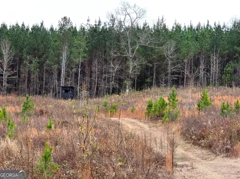 240 80 Hwy, Culloden, GA 31016 photo 30