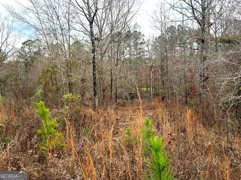 240 80 Hwy, Culloden, GA 31016 photo 6