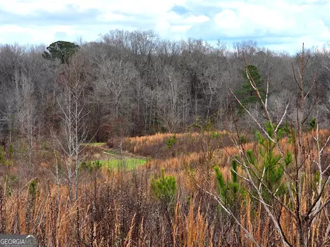 240 80 Hwy, Culloden, GA 31016 photo 35