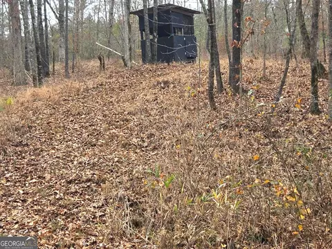 240 80 Hwy, Culloden, GA 31016 photo 27