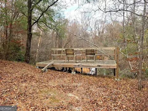 240 80 Hwy, Culloden, GA 31016 photo 20