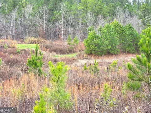 240 80 Hwy, Culloden, GA 31016 photo 33