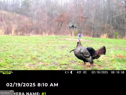240 80 Hwy, Culloden, GA 31016 photo 38