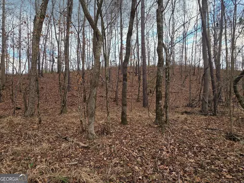 240 80 Hwy, Culloden, GA 31016 photo 26