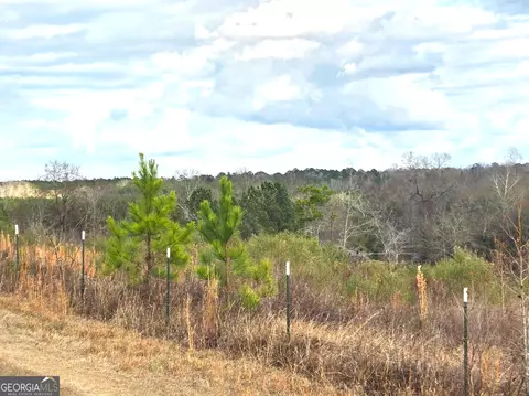 240 80 Hwy, Culloden, GA 31016 photo 9