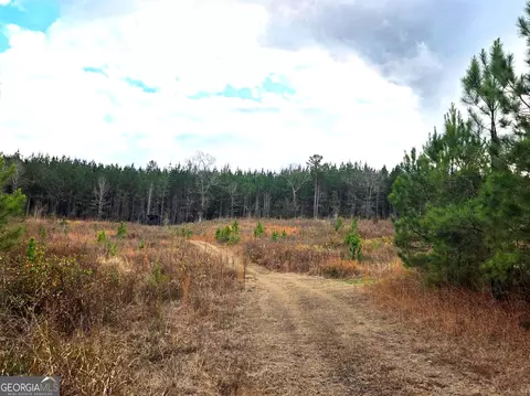 240 80 Hwy, Culloden, GA 31016 photo 29