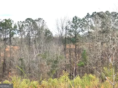 240 80 Hwy, Culloden, GA 31016 photo 11