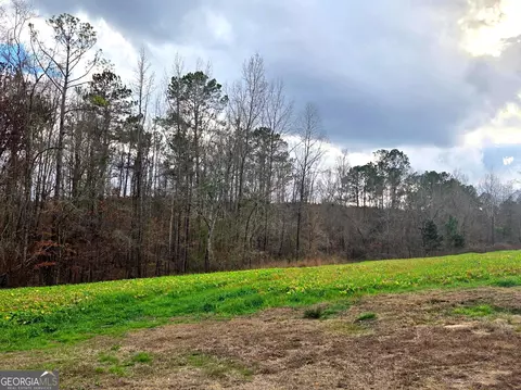 240 80 Hwy, Culloden, GA 31016 photo 18
