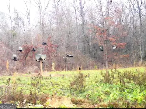 240 80 Hwy, Culloden, GA 31016 photo 42