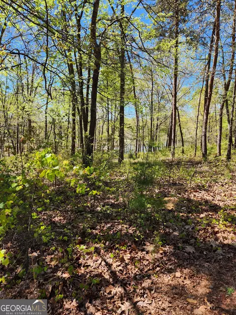 0 Crawfords Ferry Pt, Hartwell, GA 30643