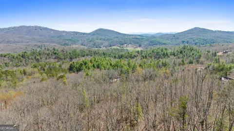 Undisclosed, Mineral Bluff, GA 30559