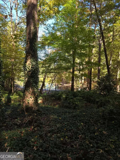 Other - 5656 Hamilton Rd, Pine Mountain, GA 31822 photo 17 of 17