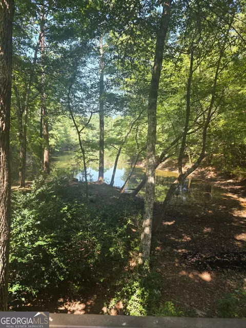 View/Area - 5656 Hamilton Rd, Pine Mountain, GA 31822 photo 7 of 7
