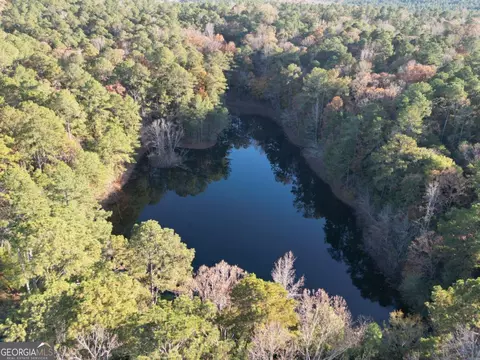 View/Area - 5656 Hamilton Rd, Pine Mountain, GA 31822 photo 5 of 7