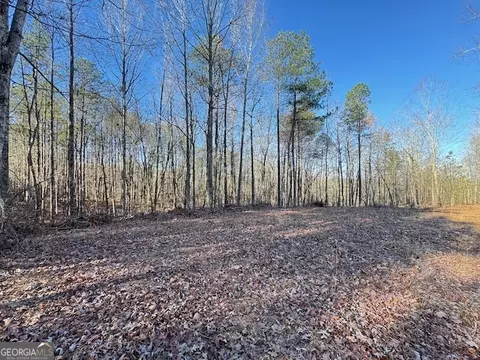 Other - 300 Dug Down Rd, Buchanan, GA 30113 photo 11 of 15