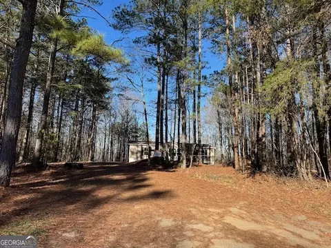 Other - 300 Dug Down Rd, Buchanan, GA 30113 photo 10 of 15