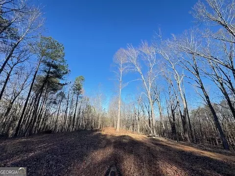 Other - 300 Dug Down Rd, Buchanan, GA 30113 photo 13 of 15