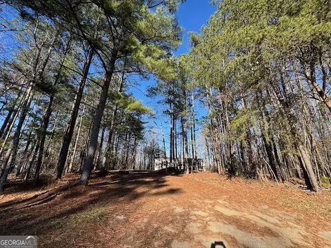 Other - 300 Dug Down Rd, Buchanan, GA 30113 photo 9 of 15