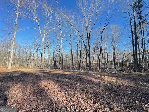 Other - 300 Dug Down Rd, Buchanan, GA 30113 photo 12 of 15