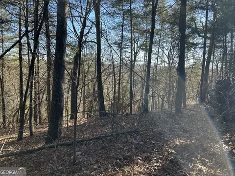 0 Twin River Orchard Rd #TRACT 4, Demorest, GA 30535