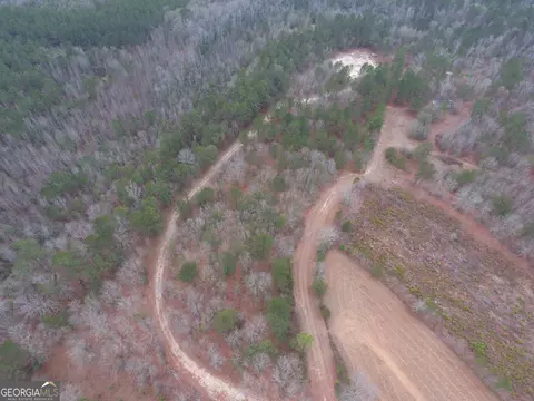 0 Blume Rd, Mitchell, GA 30820