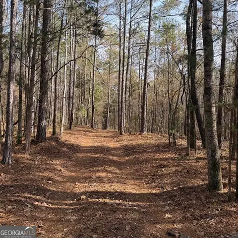 198 Acres Dennis Creek Rd, Talbotton, GA 31827