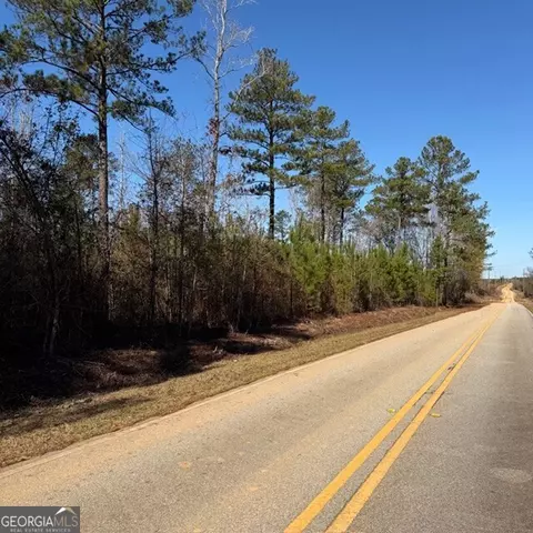 7 65 Acres Hut Rd, Box Springs, GA 31801