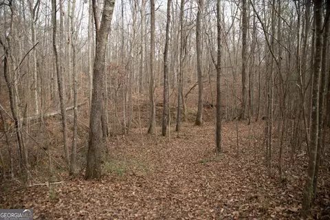 0 Kesler, Carnesville, GA 30521 photo 11
